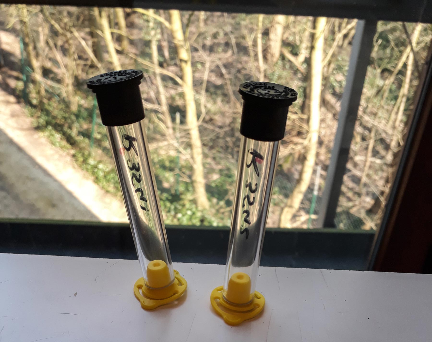 Diffusion samplers